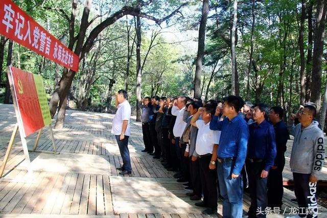 強化典型帶動引領 推動黨建全面提升（黨建引領 示范帶動）