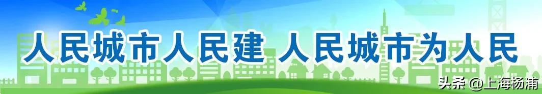 楊浦區開展黨（工）委（黨組）書記抓基層黨建工作述職評議（開展機關基層黨組織書記抓基層黨建述職評議）