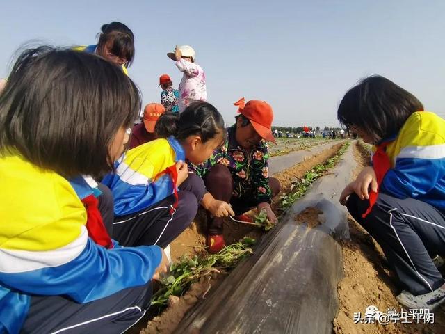 建黨百年看變化 - 安城鎮讓莊鋪村：黨建引領 答好鄉村振興“必答題”