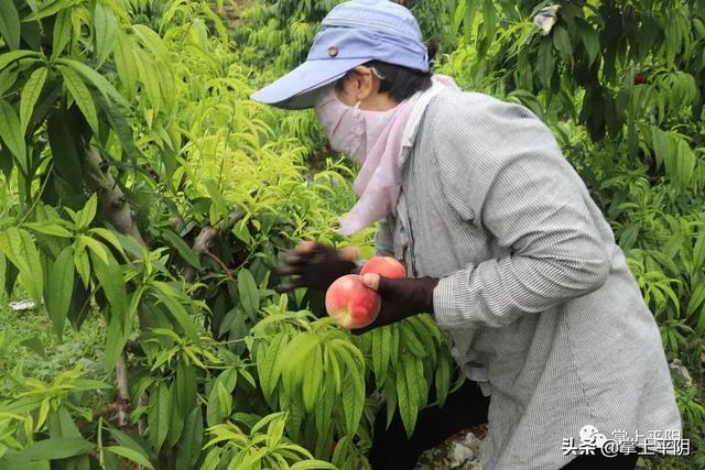 建黨百年看變化 - 安城鎮讓莊鋪村：黨建引領 答好鄉村振興“必答題”