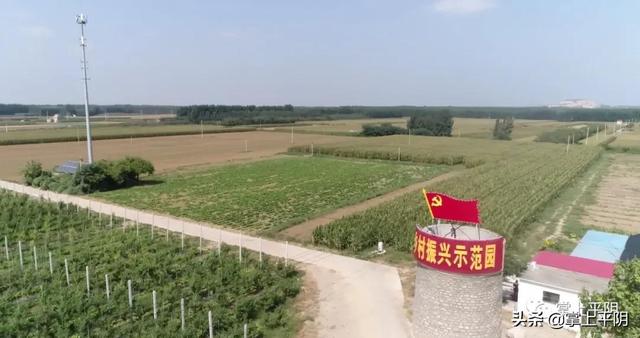 建黨百年看變化 - 安城鎮讓莊鋪村：黨建引領 答好鄉村振興“必答題”