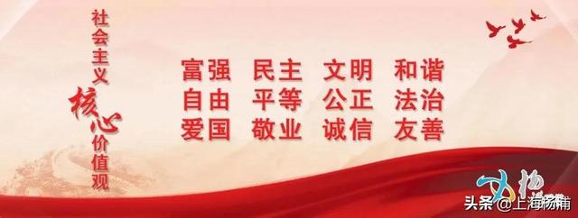 楊浦區開展黨（工）委（黨組）書記抓基層黨建工作述職評議（開展機關基層黨組織書記抓基層黨建述職評議）