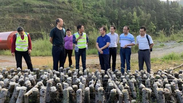 【組織建設】市發改委：黨建業務“深融合”擰成發展“一股繩”