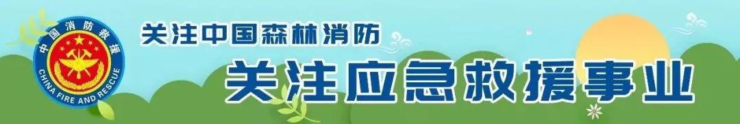回顧總結啟新思 砥礪奮進再出發(fā)丨新疆森林消防總隊圓滿完成2022年年度工作總結