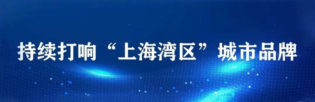 2022年度金山區基層黨委（黨工委、黨組）書記抓基層黨建工作述職評議會召開