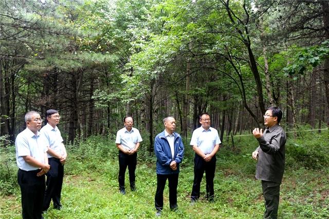 山西省林業和草原局：為實現綠色發展，建設美麗山西，唱響新時代“山西好風光”貢獻林草力量