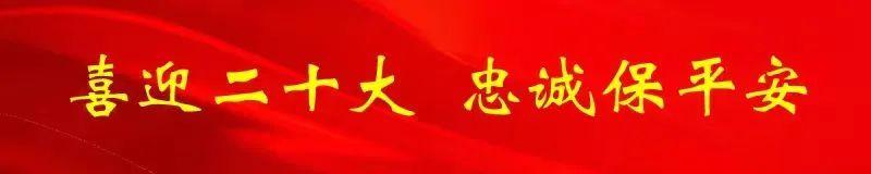 政法人談體會｜著力激發護航新征程的強烈使命擔當（確保政法機關擔負起新時代職責使命）