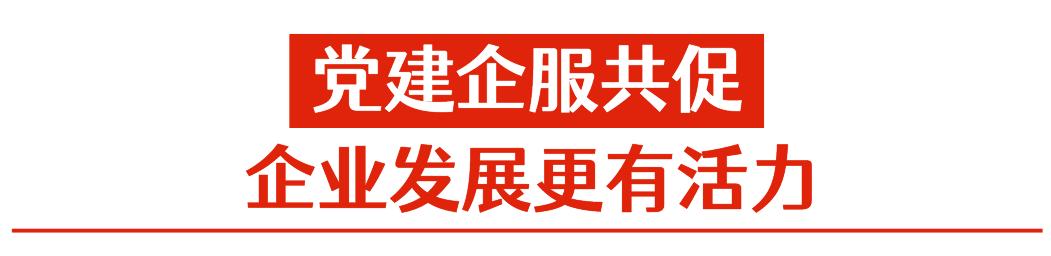 篤行·南山先鋒｜高新區黨委：黨建企服共融共促，引領企業高質量發展