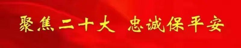 每日五道題，帶你學習二十大報告（二十）