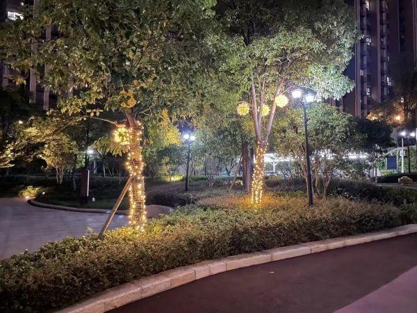 黨建引領“紅色物業”，助力社區共建共治共享新格局（打造紅色物業共建和諧社區）