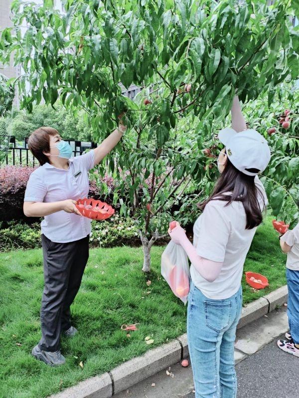黨建引領“紅色物業”，助力社區共建共治共享新格局（打造紅色物業共建和諧社區）