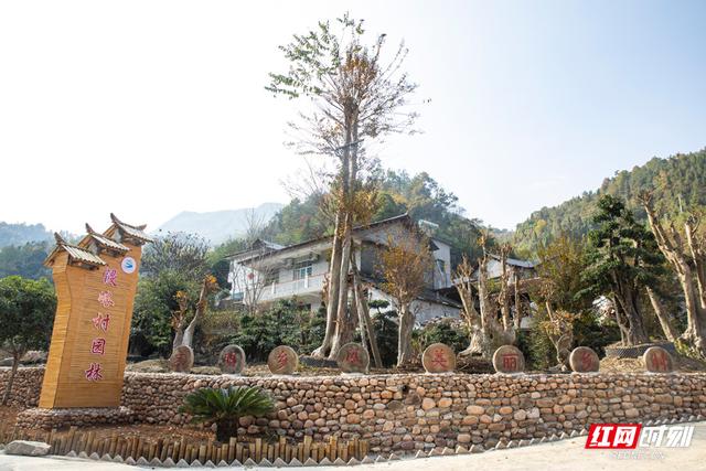 張家界市基層黨建工作優秀實踐創新案例：桑植縣竹葉坪鄉浸峪村打造鄉村振興“新樣板”