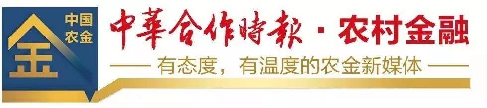 奇臺農(nóng)商銀行：強黨建、興文化，以高質(zhì)量黨建推動高質(zhì)量發(fā)展（農(nóng)商銀行黨建品牌創(chuàng)建）