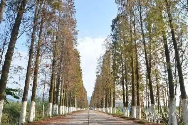 幸福村居黨建宣傳片——《黨建新歌放光芒，上洲風(fēng)采迎四方》