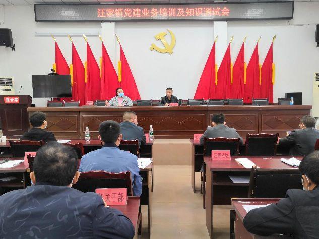 南溪區汪家鎮：規范黨務工作 提升黨建水平