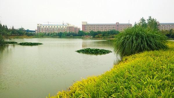 安陽學院：一人一檔建臺賬 四級防控保安全（疫情一人一檔臺賬）
