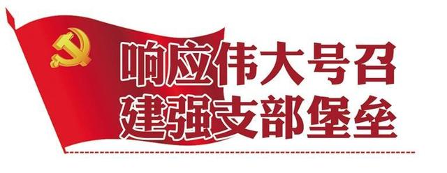 “頭雁”領(lǐng)航“群雁”齊飛 七里河區(qū)稅務(wù)局：黨建引領(lǐng)貫穿于稅收工作全過(guò)程