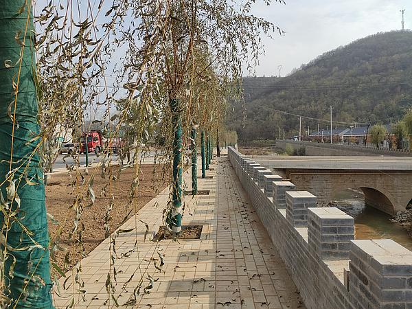 交里鄉(xiāng)：“黨建+河長制”開創(chuàng)河道治理新局面（河長談治河）