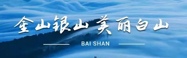 黨建引領(lǐng)“三城”創(chuàng)建 - 市政數(shù)局以黨建引領(lǐng)推動環(huán)境整治工作（黨建引領(lǐng)城市治理）