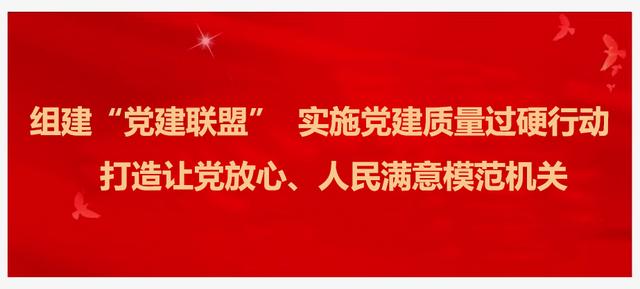打造模范機關，“崇”我做起：各單位黨組織書記承諾踐諾（以模范機關創建為引領）