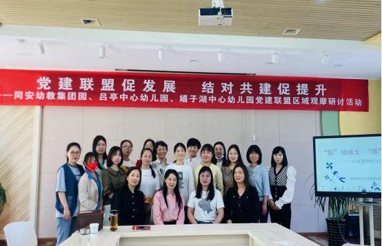 桐城市同安幼教集團園黨支部：強化黨建引領 促進幼教發展