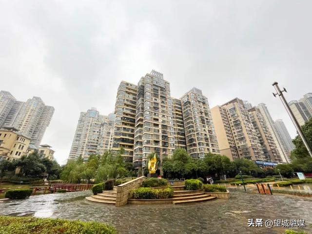 【學習貫徹黨的二十大精神】楊豐社區：宣講進樓棟 化解小區治理 “千千結”