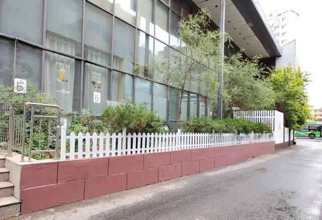 市域社會治理│中山西路街道貝爾路社區黨委：黨建引領“四個到位” 夯實小區“四化”治理成效