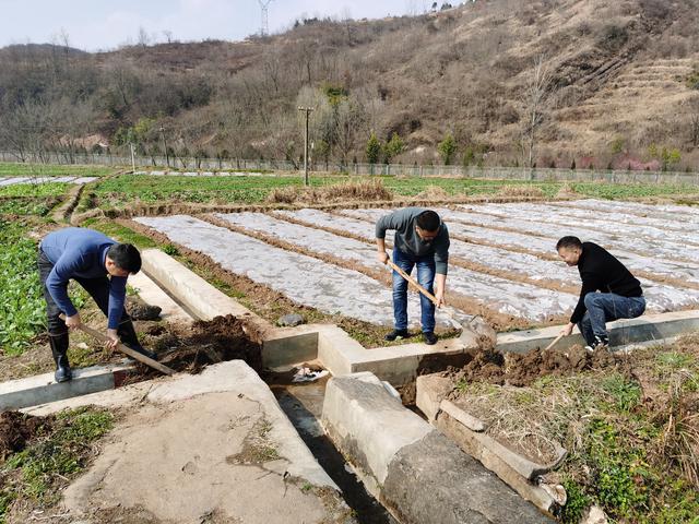強根鑄魂 把舵揚帆—2022年漢陰縣觀音峽水利公司黨建工作綜述（漢陰縣水利局領導班子）