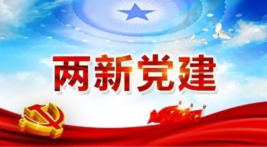 西固區(qū)堅(jiān)持黨建驅(qū)動(dòng)-n確保兩新組織黨建提質(zhì)增效（推動(dòng)兩新組織黨建工作提質(zhì)增效）