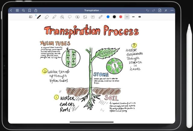 GoodNotes 5(mac手寫筆記軟件)（macbook goodnotes）
