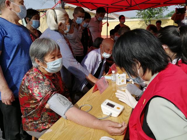 高密：村里來了“老專家”村民心頭生歡喜（高密的村）
