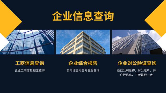 企業(yè)信息全面查詢專業(yè)版功能（企業(yè)信息查閱系統(tǒng)）