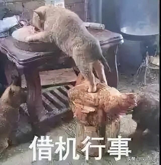 主觀題機考界面原來長這樣，怪不得要提前準備（主觀題機考怎么考）