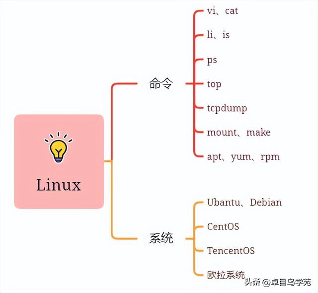 2023年應屆生學測試開發必看的技能路線圖