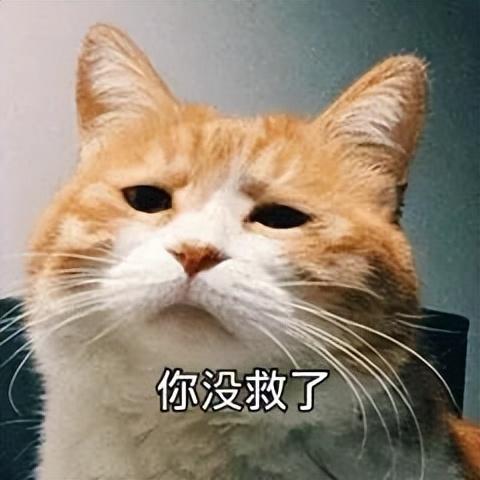 推薦幾款有趣免費App，不用白不用（有趣又實用的app）