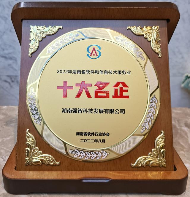強智科技入選2022湖南省軟件和信息服務業十大名企、競爭力50強（湖南強智科技app）