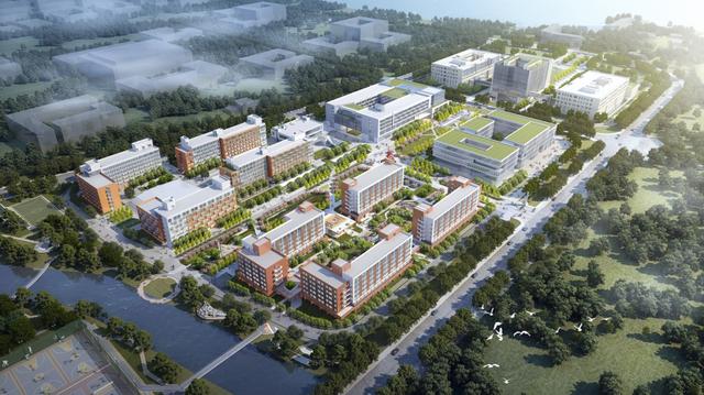 中建八局4家單位榮膺“山東省建筑業(yè)綜合實力30強企”！（中建八局在山東）
