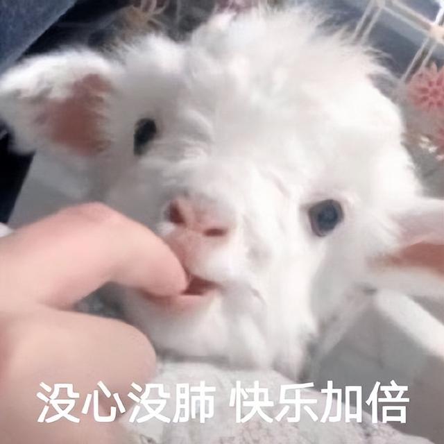雙端支持！全網(wǎng)漫畫免費觀看，這個工具太實用了（漫畫雙一）