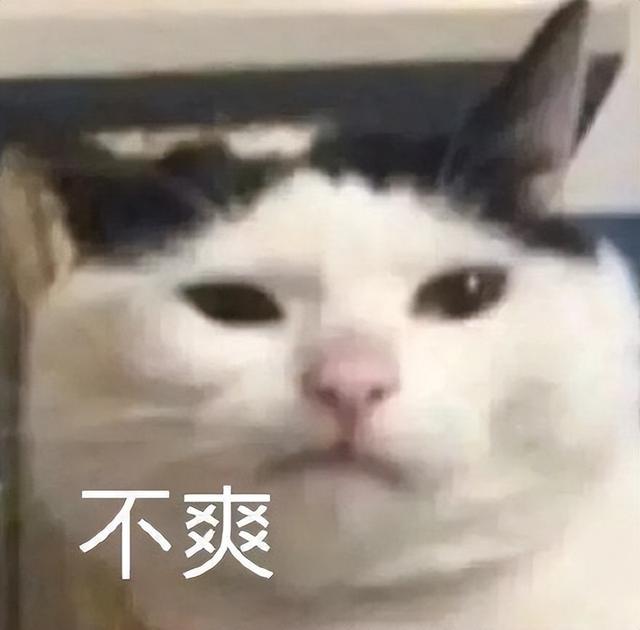 打工人摸魚(yú)必備的小說(shuō)閱讀器！PC端專(zhuān)屬，資源豐富沒(méi)有廣告（電腦摸魚(yú)小說(shuō)閱讀器）