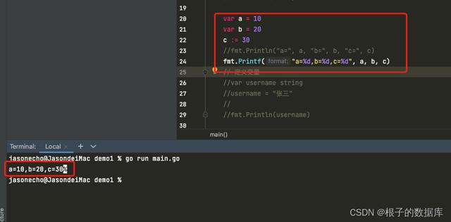 golang 基礎(chǔ)（一）：安裝、IDE、fmt、變量（golang安裝配置）