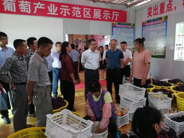 百色市“聚、找、壓”三字訣力推兩新黨建示范點建設（打造兩新黨建示范點）
