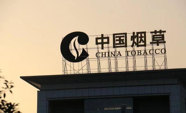 煙草局的待遇好嗎？朋友酒后吐真言！（煙草局的待遇有多好）
