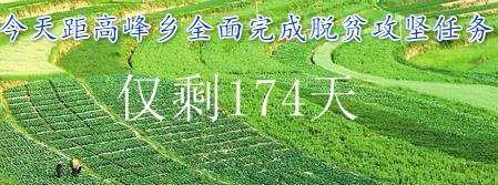 黨員同志們：“甘肅黨建”如何下載？怎么使用？你們學(xué)會(huì)了嗎？