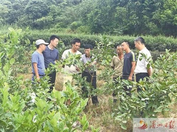 莆田實施科技特派員制度 助力產業發展增收（莆田市涵江區科技特派員服務中心屬于縣級單位嗎）