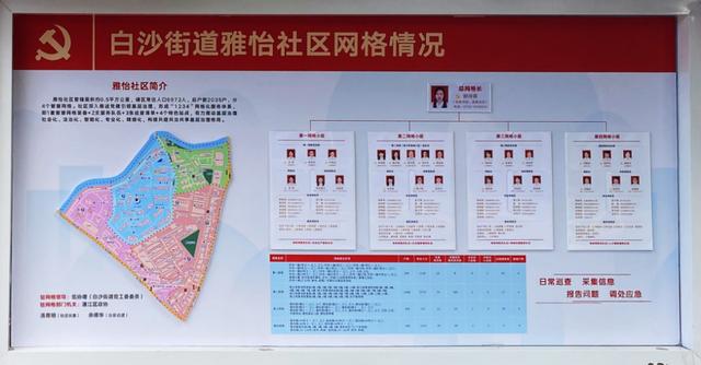 【喜迎二十大 蓬江這十年】架起基層黨建“強支點”，撬動綜合治理“整盤棋”！