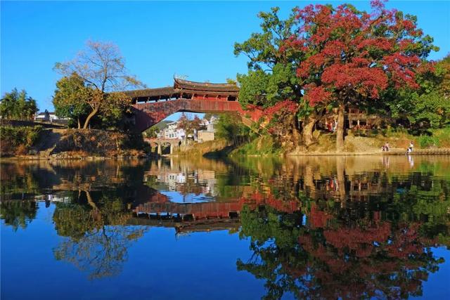 這十年，泰順在五個(gè)“變”與“不變”中繪就美好藍(lán)圖！（泰順變化）