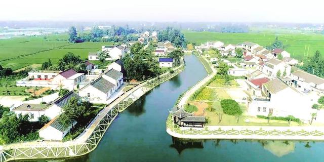 江都丁溝鎮黃花村：黨建引領，譜寫鄉村振興新篇章