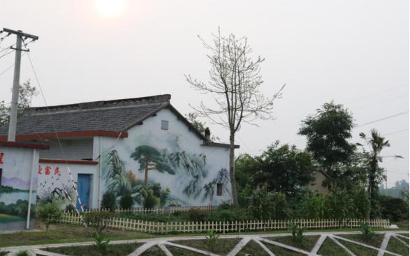 江都丁溝鎮黃花村：黨建引領，譜寫鄉村振興新篇章