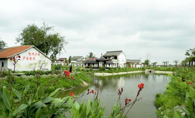江都丁溝鎮黃花村：黨建引領，譜寫鄉村振興新篇章