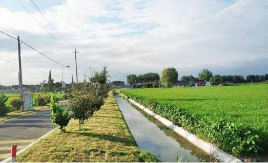 江都丁溝鎮黃花村：黨建引領，譜寫鄉村振興新篇章